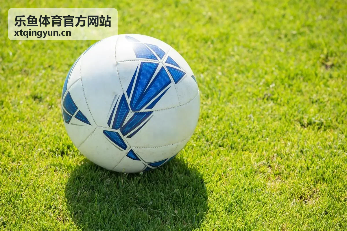 乐鱼体育官方网站 电竞赛事直播